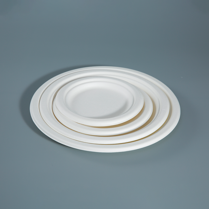 PFAS FREE 6 7 9 10inch Disposable Party Tableware 100% Compostable Disposable Sugarcane Tableware Bagasse Round Plates 1