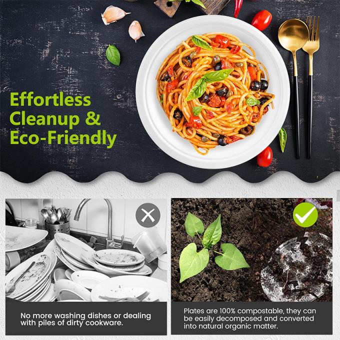 PFAS FREE 6 7 9 10inch Disposable Party Tableware 100% Compostable Disposable Sugarcane Tableware Bagasse Round Plates 2