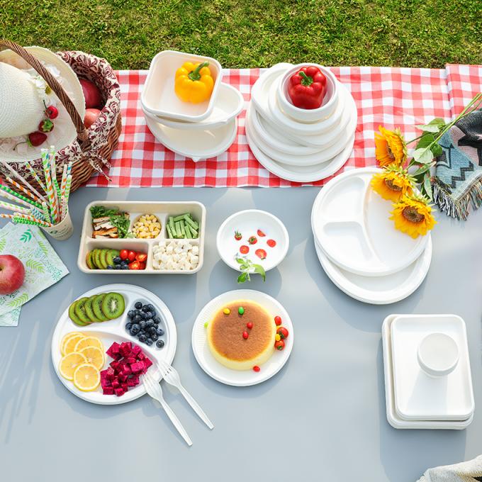 PFAS FREE 6 7 9 10inch Disposable Party Tableware 100% Compostable Disposable Sugarcane Tableware Bagasse Round Plates 4