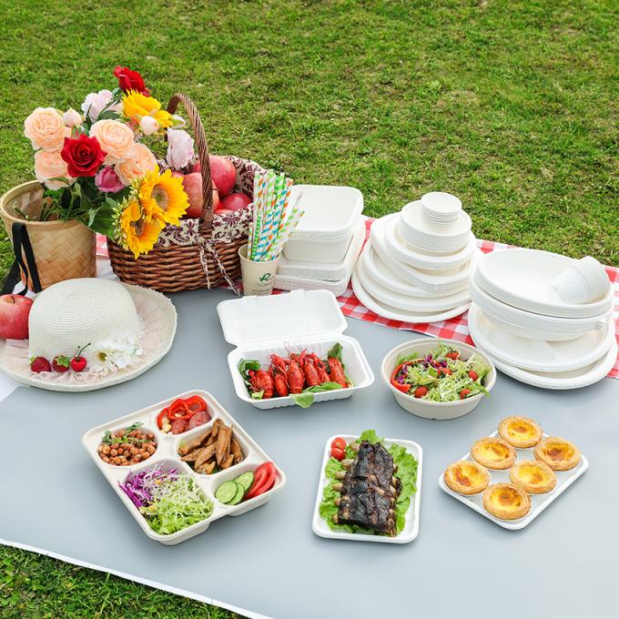 PFAS FREE 6 7 9 10inch Disposable Party Tableware 100% Compostable Disposable Sugarcane Tableware Bagasse Round Plates 5