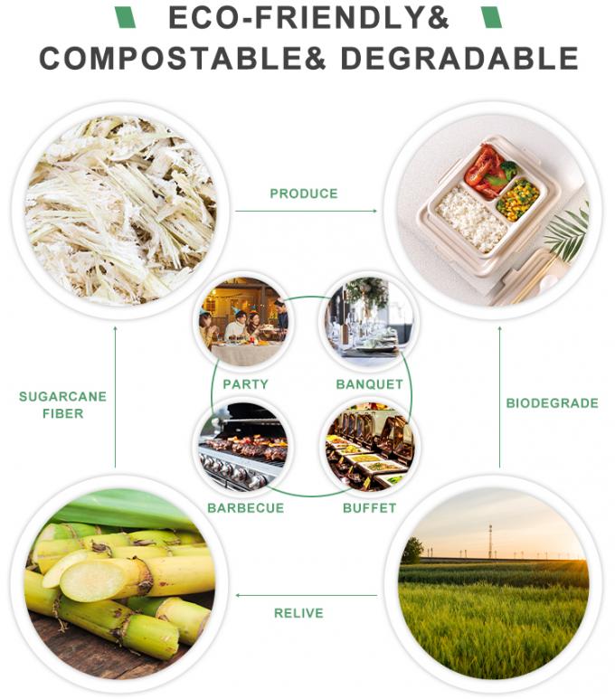 PFAS FREE 6 7 9 10inch Disposable Party Tableware 100% Compostable Disposable Sugarcane Tableware Bagasse Round Plates 7