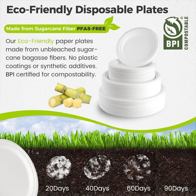 PFAS FREE 6 7 9 10inch Disposable Party Tableware 100% Compostable Disposable Sugarcane Tableware Bagasse Round Plates 8