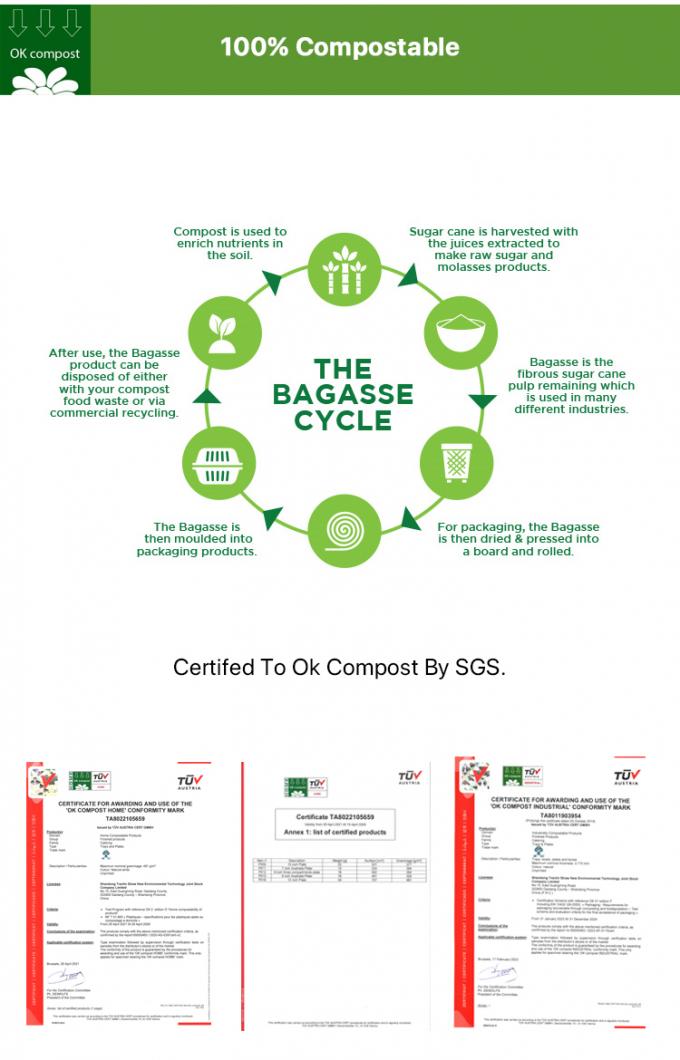 Custom Biodegradable Eco-Friendly Take Away Paper Bowl Food Container Kraft Food Bowl Paper Customized Logo Paper Bowl 13
