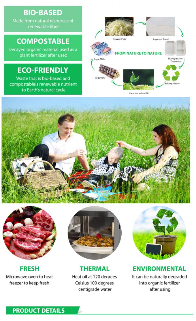 Wholesale Disposable Compostable Kraft Paper Disposable Paper Tray Takeaway Box 2