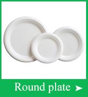 Wholesale Disposable Compostable Kraft Paper Disposable Paper Tray Takeaway Box 6