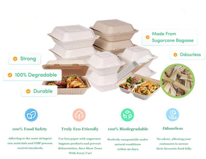 Compostabile Universale Eco-friendly 6" Clamshell Burger Takeaway Box Canne da zucchero Bagasse Biodegradabile Contenitore alimentare 0