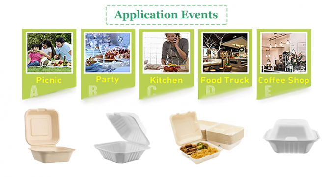 Compostabile Universale Eco-friendly 6" Clamshell Burger Takeaway Box Canne da zucchero Bagasse Biodegradabile Contenitore alimentare 1