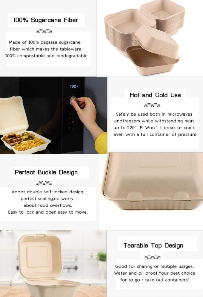 Compostabile Universale Eco-friendly 6" Clamshell Burger Takeaway Box Canne da zucchero Bagasse Biodegradabile Contenitore alimentare 2