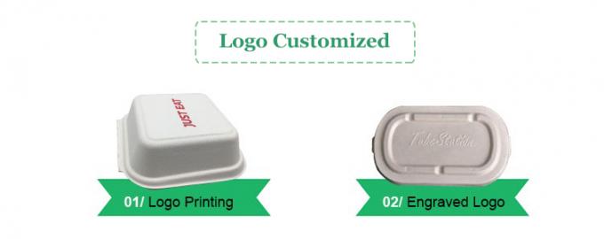 Compostabile Universale Eco-friendly 6" Clamshell Burger Takeaway Box Canne da zucchero Bagasse Biodegradabile Contenitore alimentare 3