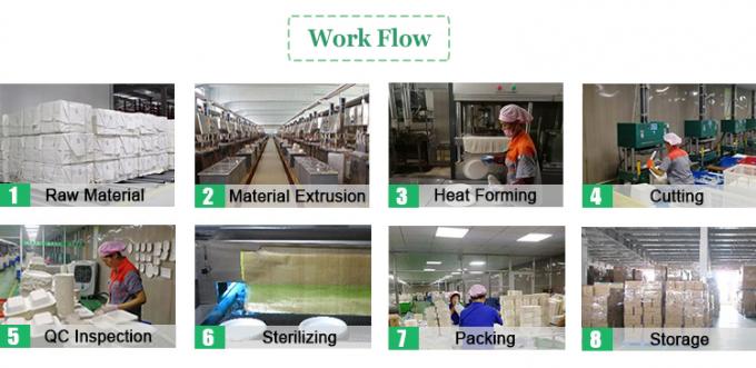 Compostabile Universale Eco-friendly 6" Clamshell Burger Takeaway Box Canne da zucchero Bagasse Biodegradabile Contenitore alimentare 5