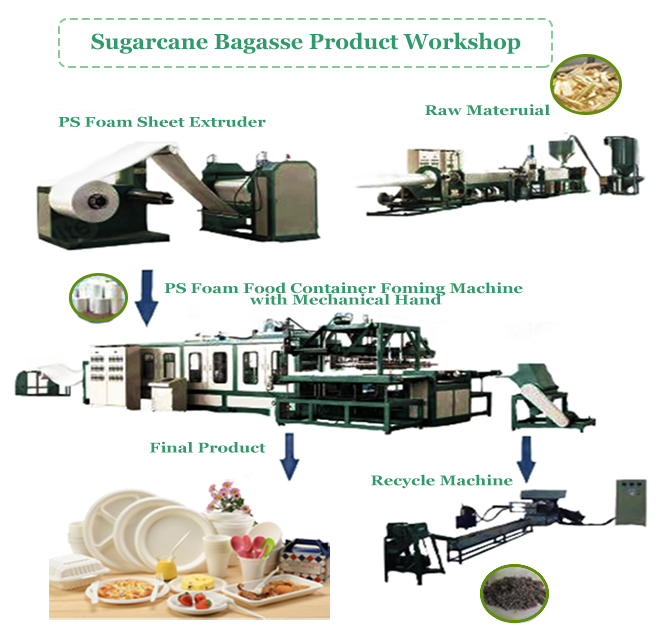 Compostabile Universale Eco-friendly 6" Clamshell Burger Takeaway Box Canne da zucchero Bagasse Biodegradabile Contenitore alimentare 6