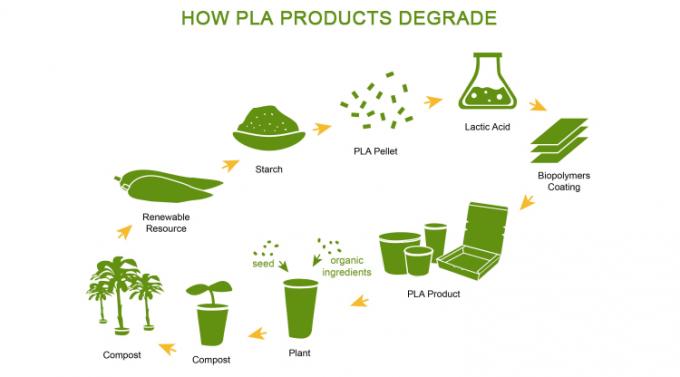 فنجان‌های سس کوچک مینی ۱ اونس، ۲ اونس، ۳ اونس، ۴ اونس، ۵ اونس، ۶ اونس با درب، قابل کمپوست ۱۰۰٪ PLA، سرویس OEM 3