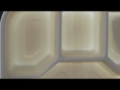 Cornstarch Lunch Box