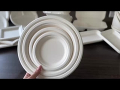 Paper Pulp Tableware