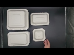 Paper Pulp Tableware